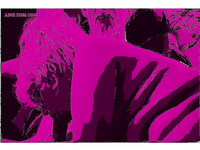 MANY MORE HOT ACTION PHOTOS