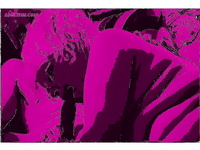 MANY MORE HOT ACTION PHOTOS