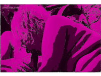 MANY MORE HOT ACTION PHOTOS