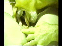 HOT HOT ACTION PHOTO CLIPS