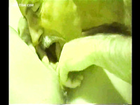 HOT HOT ACTION PHOTO CLIPS