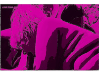 LOTS OF HOT ACTION PHOTOS images 2