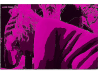 LOTS OF HOT ACTION PHOTOS images 2