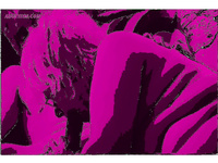 LOTS OF HOT ACTION PHOTOS images 2