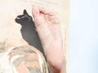 Dillion Harper ATK 15