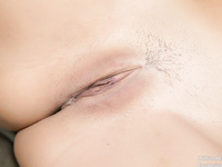 Dillion Harper Cherrypimps 13