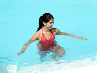 Lady Dee Alsscan 8