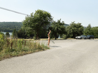 Lady Dee Alsscan 8