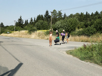 Lady Dee Alsscan 8