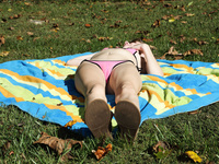 Hannah Hays Alsscan 2