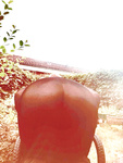 Pictures of my beuatiful ass