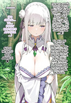 Kouketsu na Half Elf no Emilia ga Henkyou no Noumin Jiji ni Damasare Yome ni Otosareru｜La Noble Semi