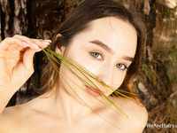 Bozhena - Tree