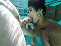 Mia Little - Pounding The Pool Boy