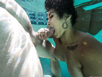 Mia Little - Pounding The Pool Boy
