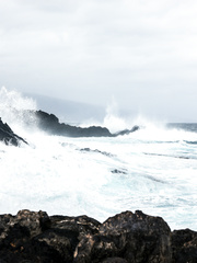 Ariela SEXY LITTLE MERMAID