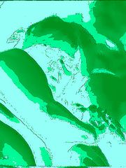 LOTS OF HOT ACTION PHOTOS