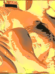 MORE HOT PHOTOS FOR YOU