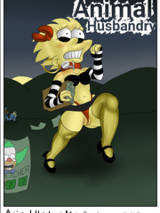 the pony inciddent