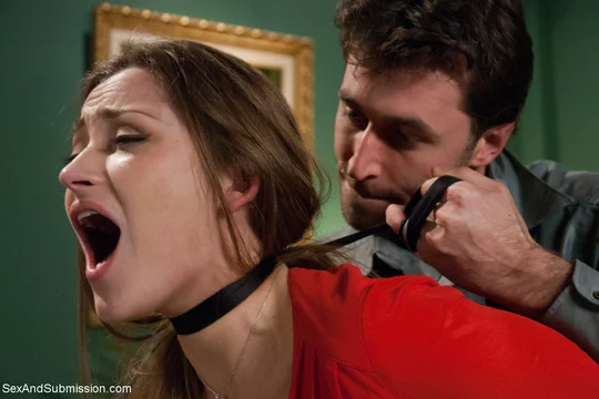 sex and submission-Dani Daniels and James Deen