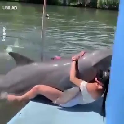 Zoo Sex With Dolphin (Joke) :)) xxx